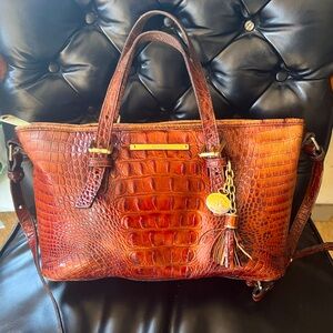 Brahmin Mini Asher Bag in Pecan Satchel Leather